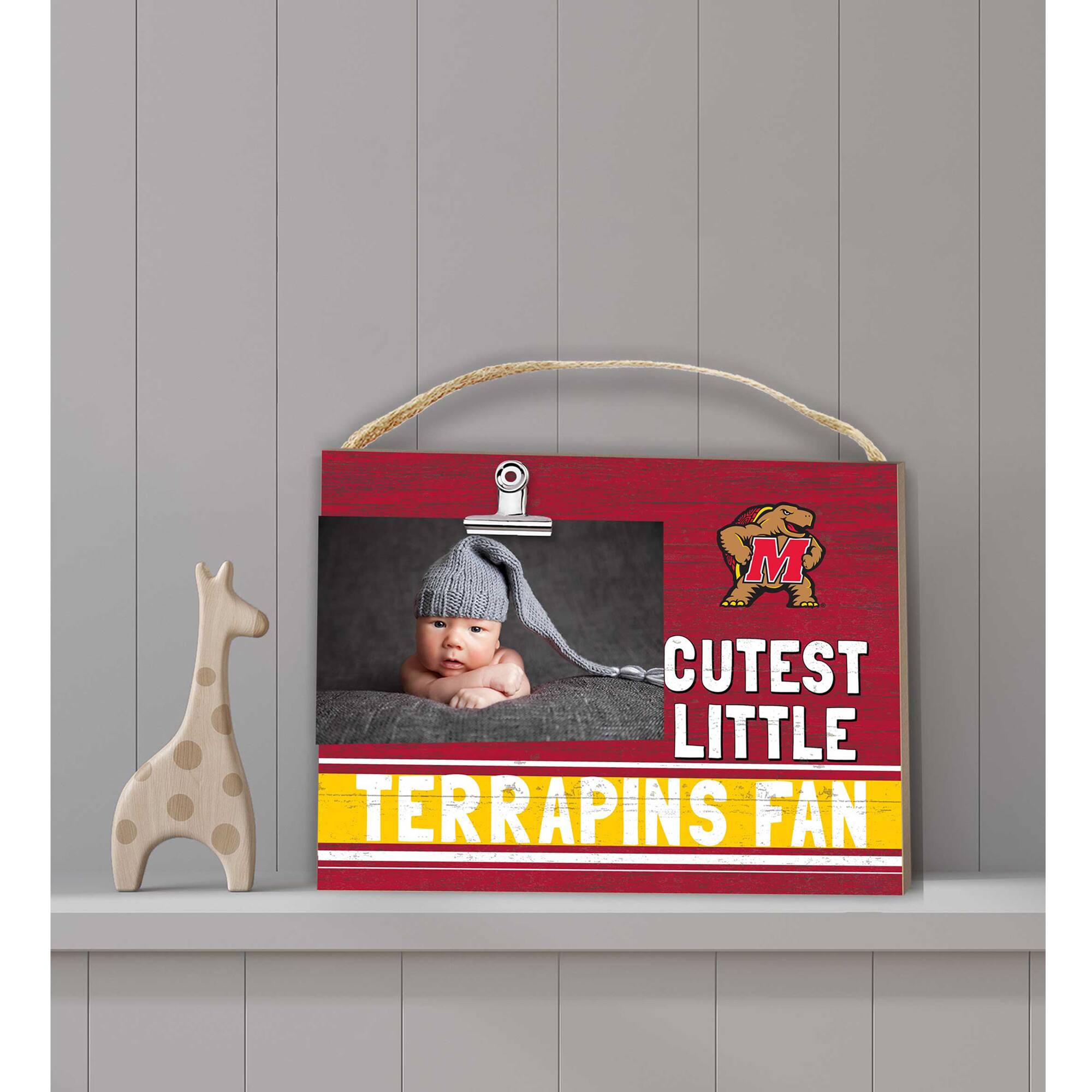 CUTEST LITTLE TERRAPINS FAN