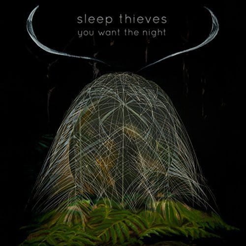 Sleep Thieves - You Want the Night   - VINYL LP price history on PriceWatchPro