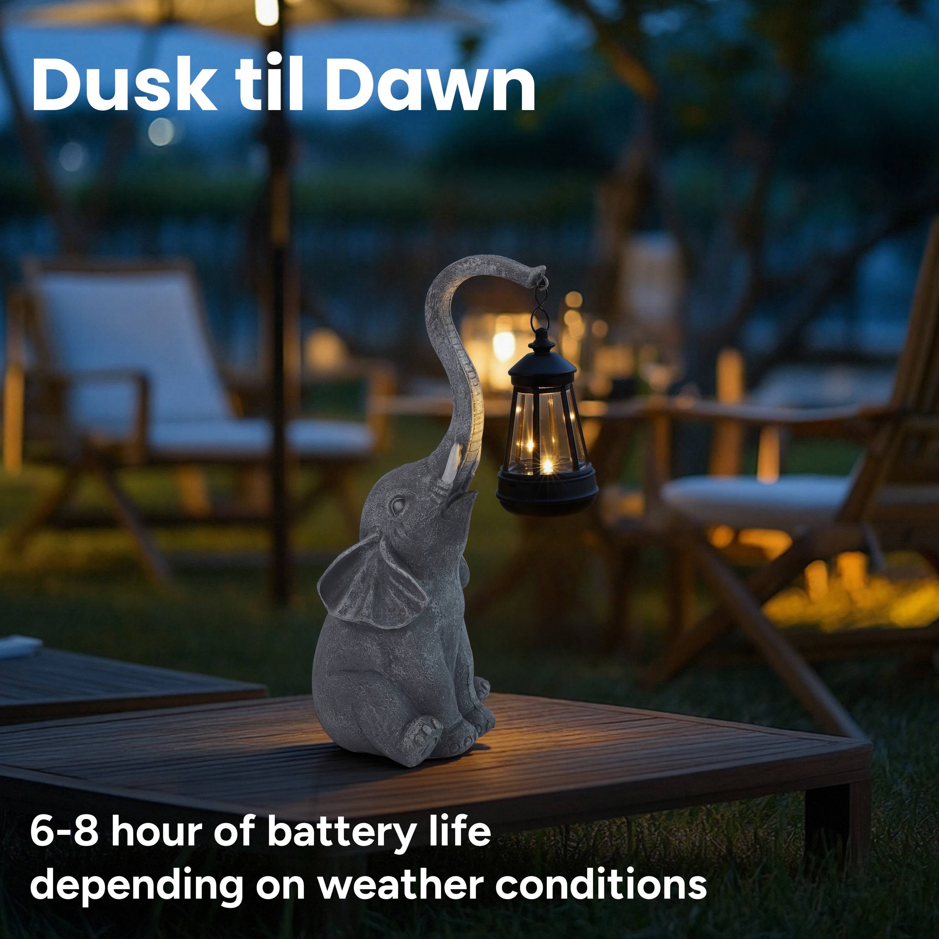 Dusk til Dawn

6-8 hour of battery life depending on weather conditions