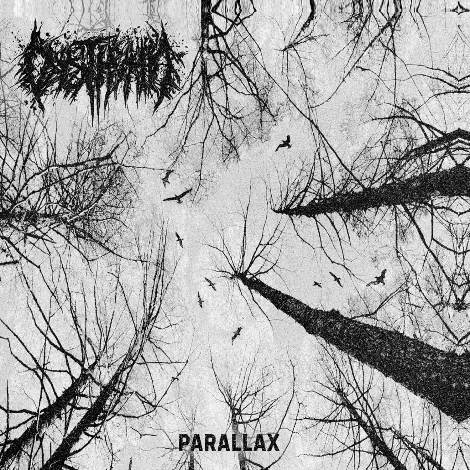 Dysthymia - Parallax   - COMPACT DISCS [CD] price history on PriceWatchPro