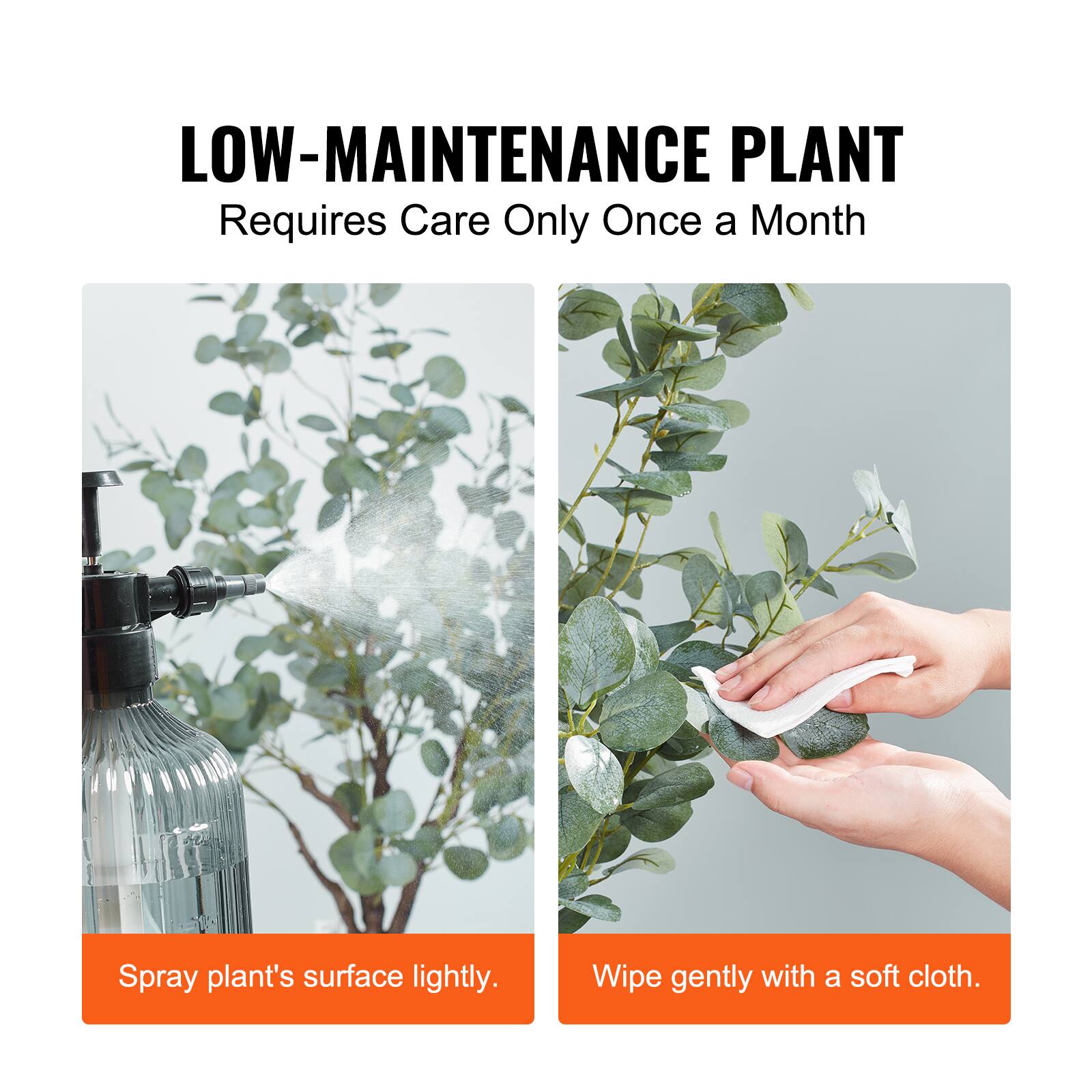 LOW-MAINTENANCE PLANT  
Requires Care Only Once a Month  

Spray plant's surface lightly.  
Wipe gently with a soft cloth.