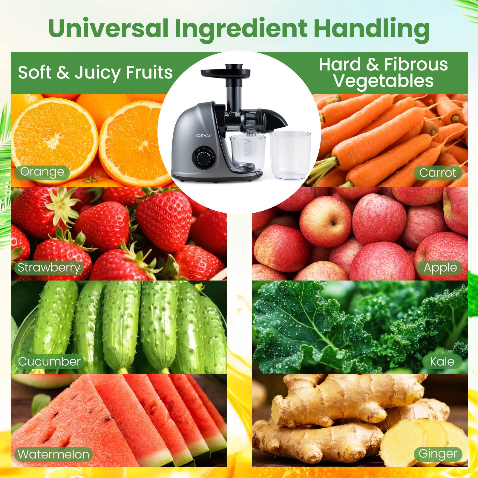 Universal Ingredient Handling

Soft & Juicy Fruits
- Orange
- Strawberry
- Cucumber
- Watermelon

Hard & Fibrous Vegetables
- Carrot
- Apple
- Kale
- Ginger