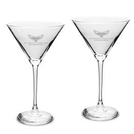 Jardine - Maryland Eastern Shore Hawks Two-Piece Traditional 10oz. Martini Glass Set - Multicolor