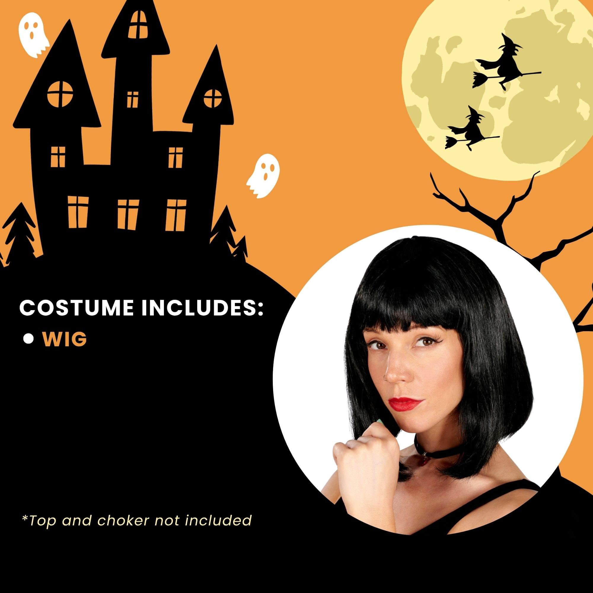 COSTUME INCLUDES:  
- WIG  

*Top and choker not included