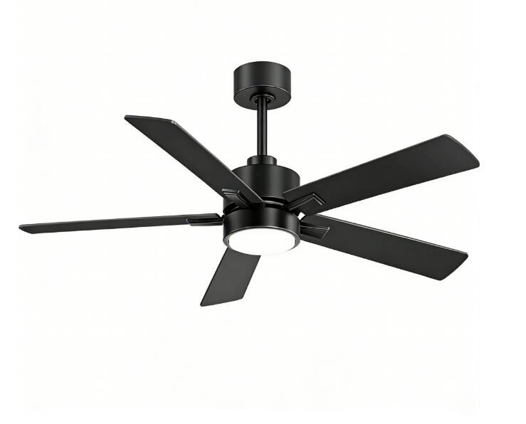 "Breezary - 52-inch Modern Indoor Ceiling Fan with LED Light, 5 Plywood Blades, 6-Speed DC Motor, APP&Remote, Timer, 5"" Downrod - 52-inch Matte Black" price history on PriceWatchPro
