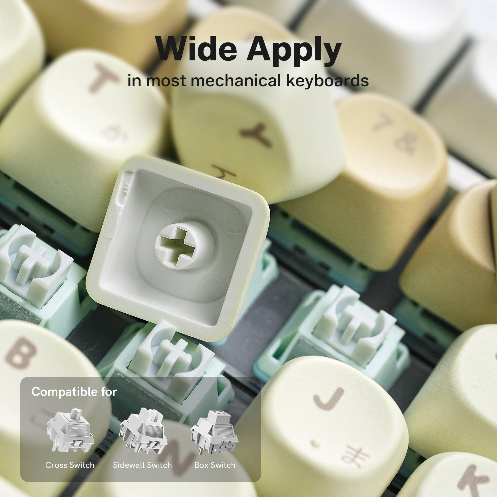 Wide Apply in most mechanical keyboards

TP + B H Compatible for Cross Switch Sidewall Switch Box Switch