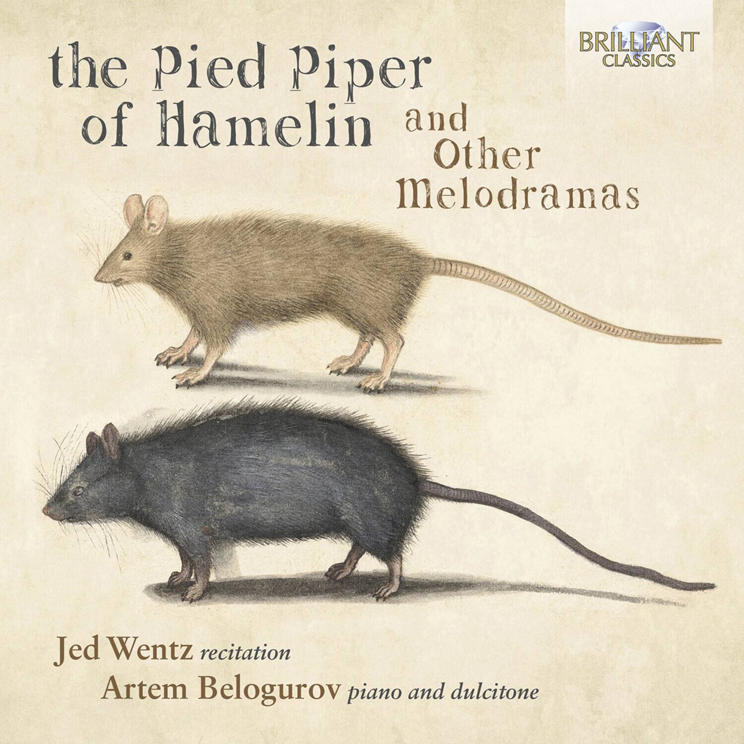 Jed Wentz - Pied Piper of Hamelin & Other Melodramas   - COMPACT DISCS [CD] price history on PriceWatchPro