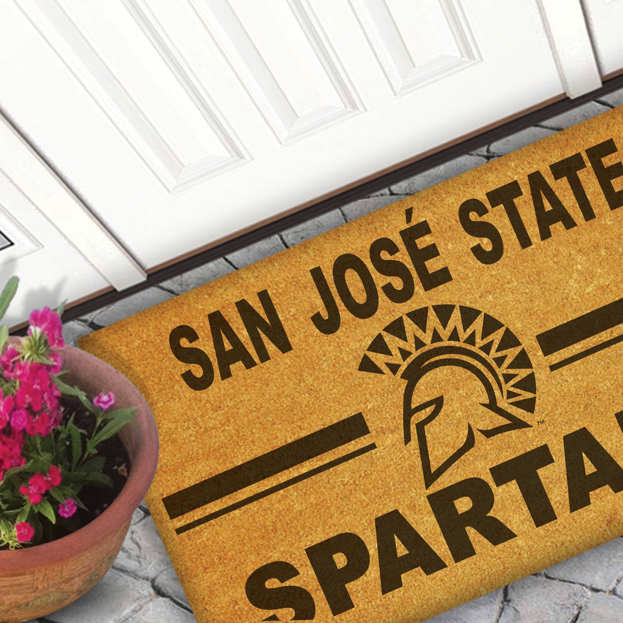 SAN JOSE STATE  
SPARTANS