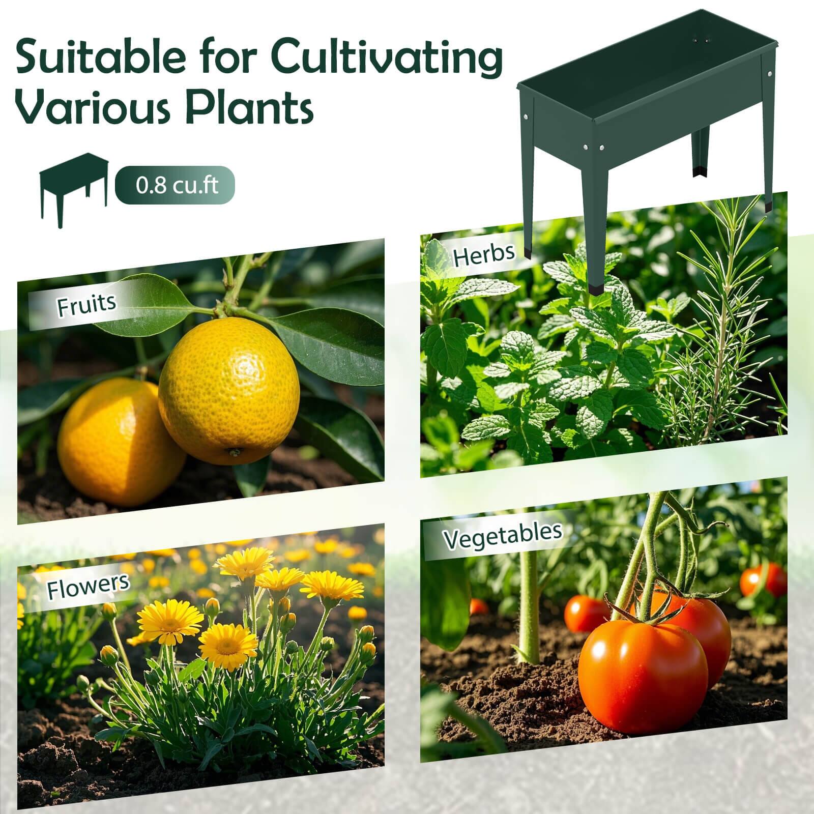 Suitable for Cultivating Various Plants  
0.8 cu.ft  

Fruits  
Herbs  
Flowers  
Vegetables