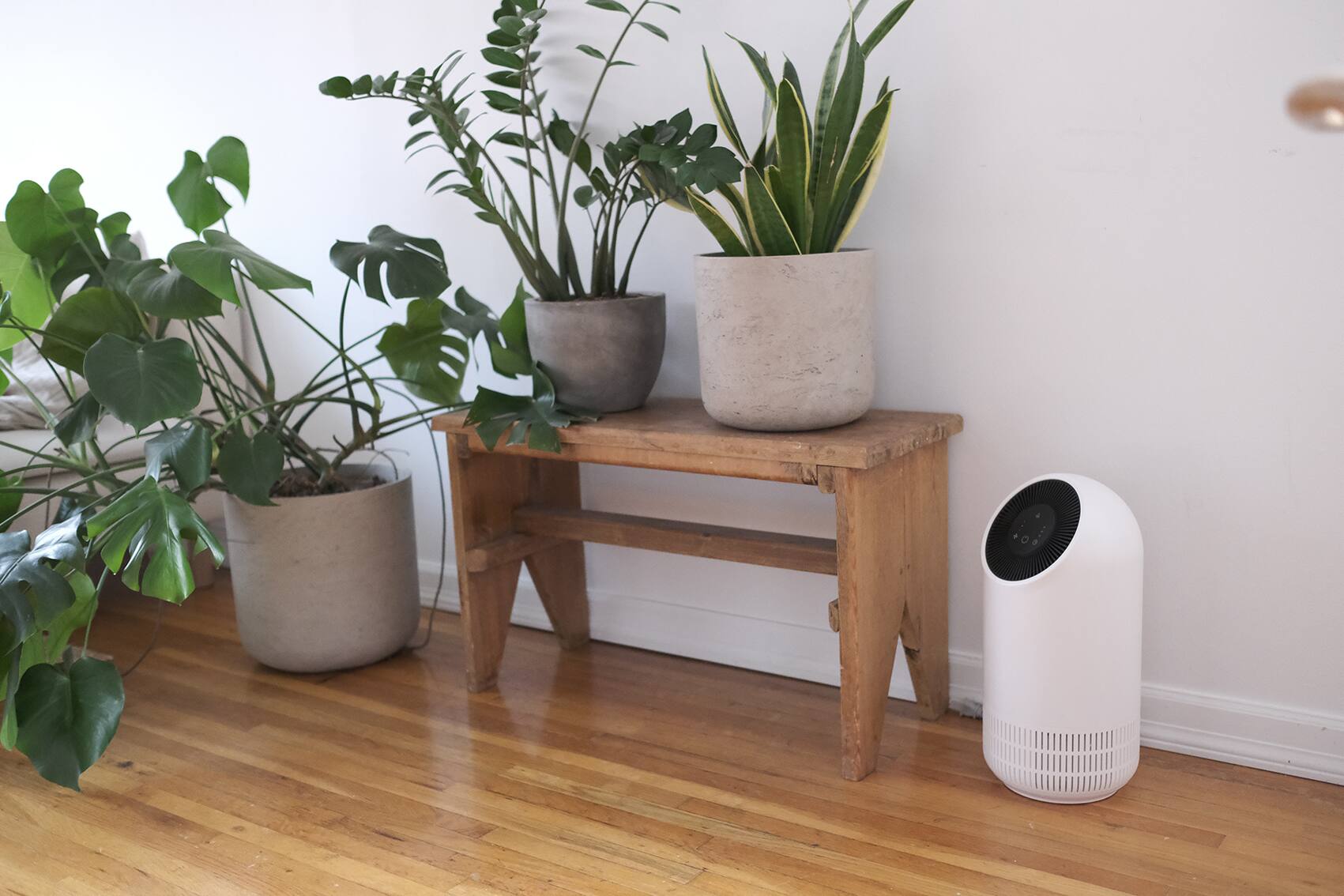 Alt View 6. JS Innovations - JS FLO 2.0 - 3-in-1 HEPA Air Purifier & Odor eliminator - Perfect for small to medium sized rooms up to 130sq/ft - White.