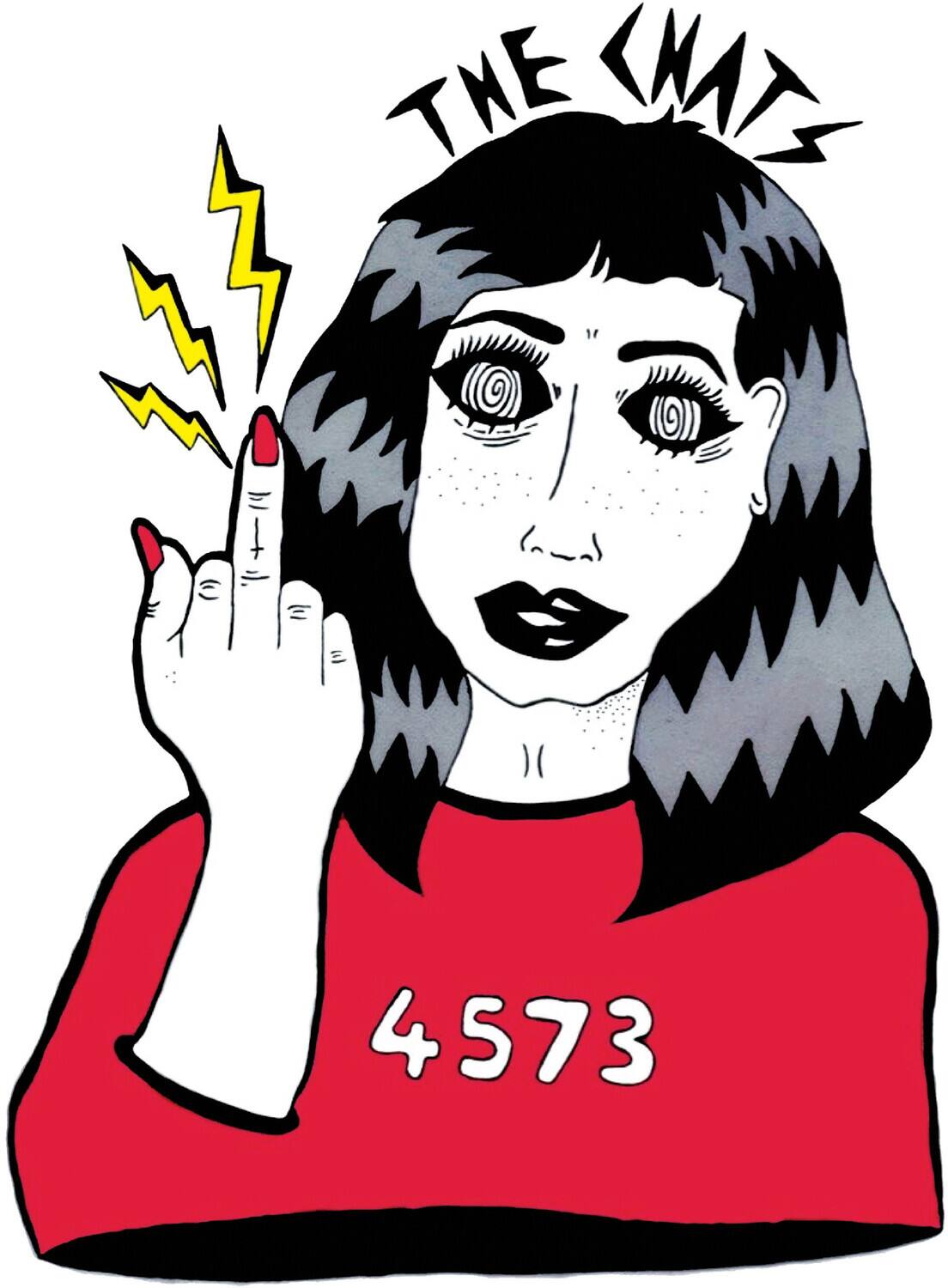 The text in the image reads:

"THE CATS
4573"