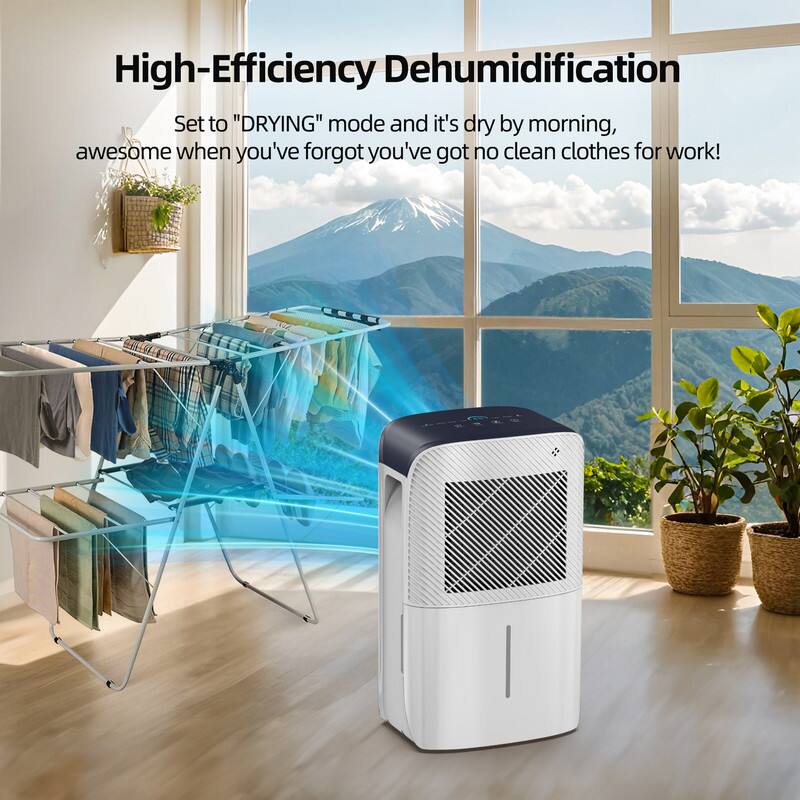 High-Efficiency Dehumidification

Set to "DRYING" mode and it's dry by morning, awesome when you've forgotten you've got no clean clothes for work!