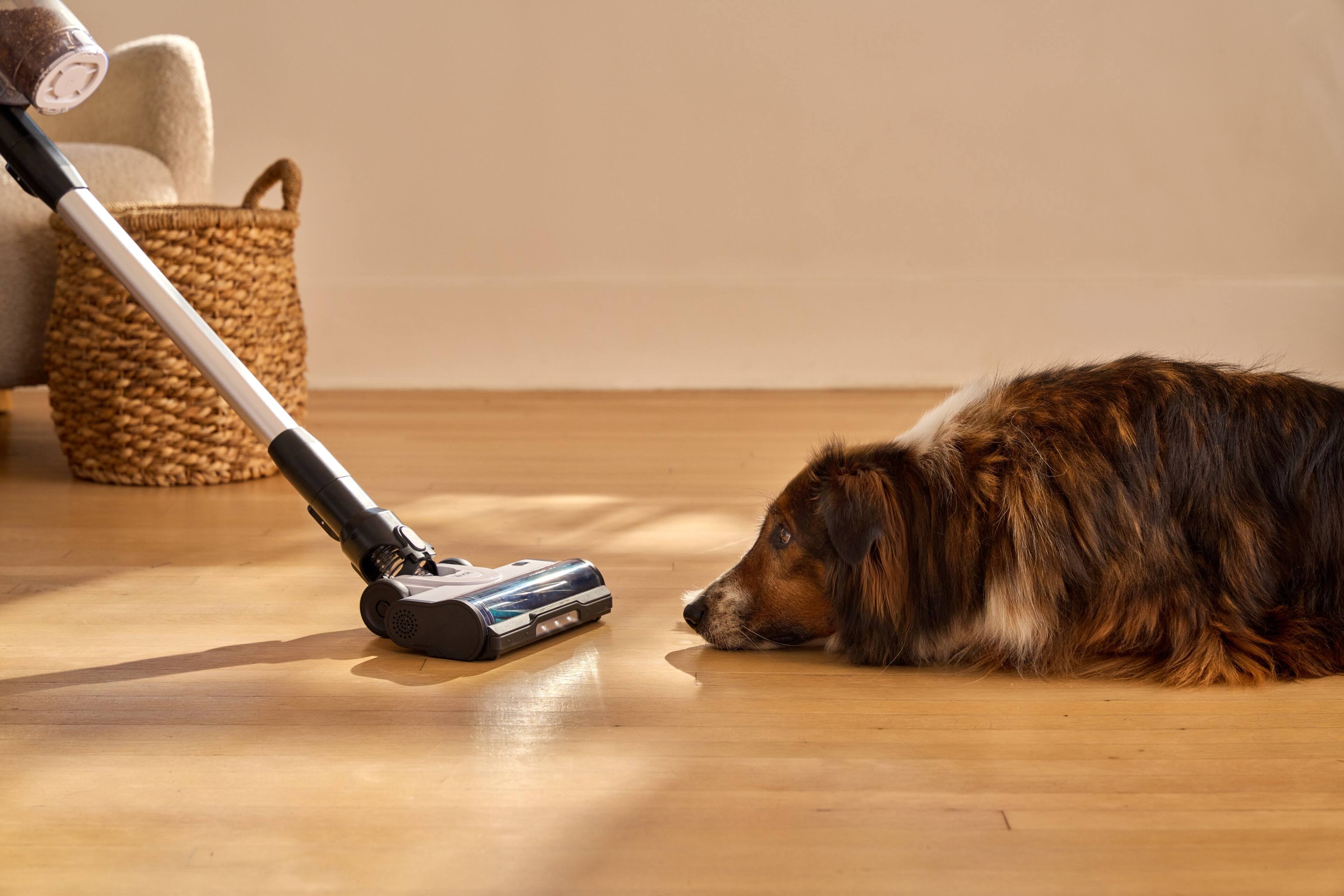 Alt View 7. Levoit - AERO Cordless Vacuum with All-in-One Station - White.