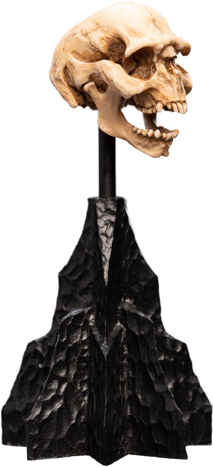 Alt View 1. Weta Workshop - WETA Workshop Polystone - The Lord of the Rings Trilogy - Skull of a Moria Orc Polystone Statue   - COLLECTIBLES - Multicolor.