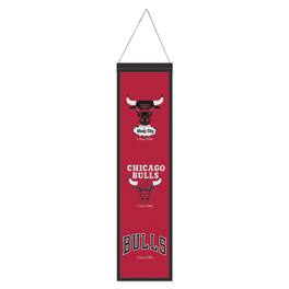 WinCraft - Chicago Bulls 8" x 32" Evolution Banner - Multicolor