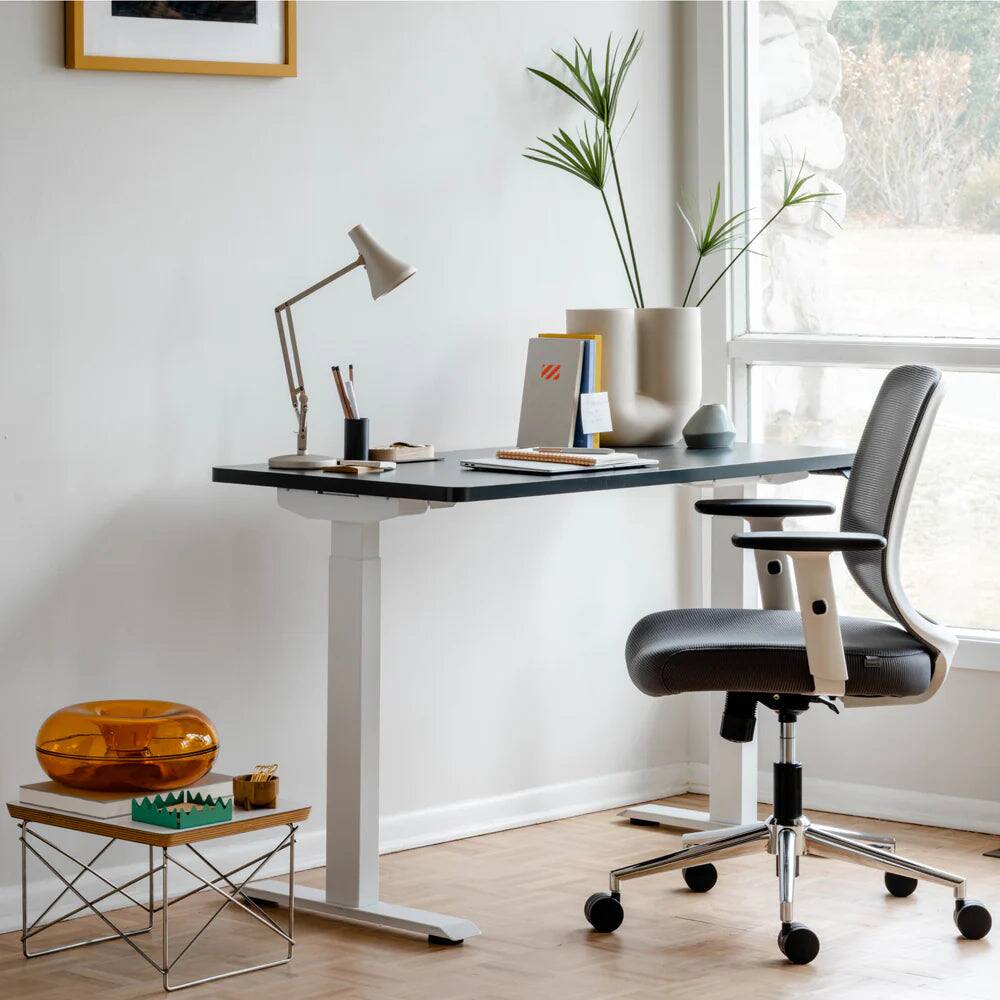 Back. Branch Furniture - Daily Chair – Office Chair with Swivel, Lumbar Support, Adjustable Arms, Sustainable & Comfortable Seating - Slate.