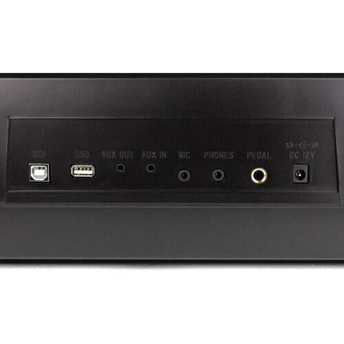 Sure, here is the corrected and grouped text from the image:

- USB
- AUX OUT
- AUX IN
- MIC
- PHONES
- PEDAL
- DC 12V