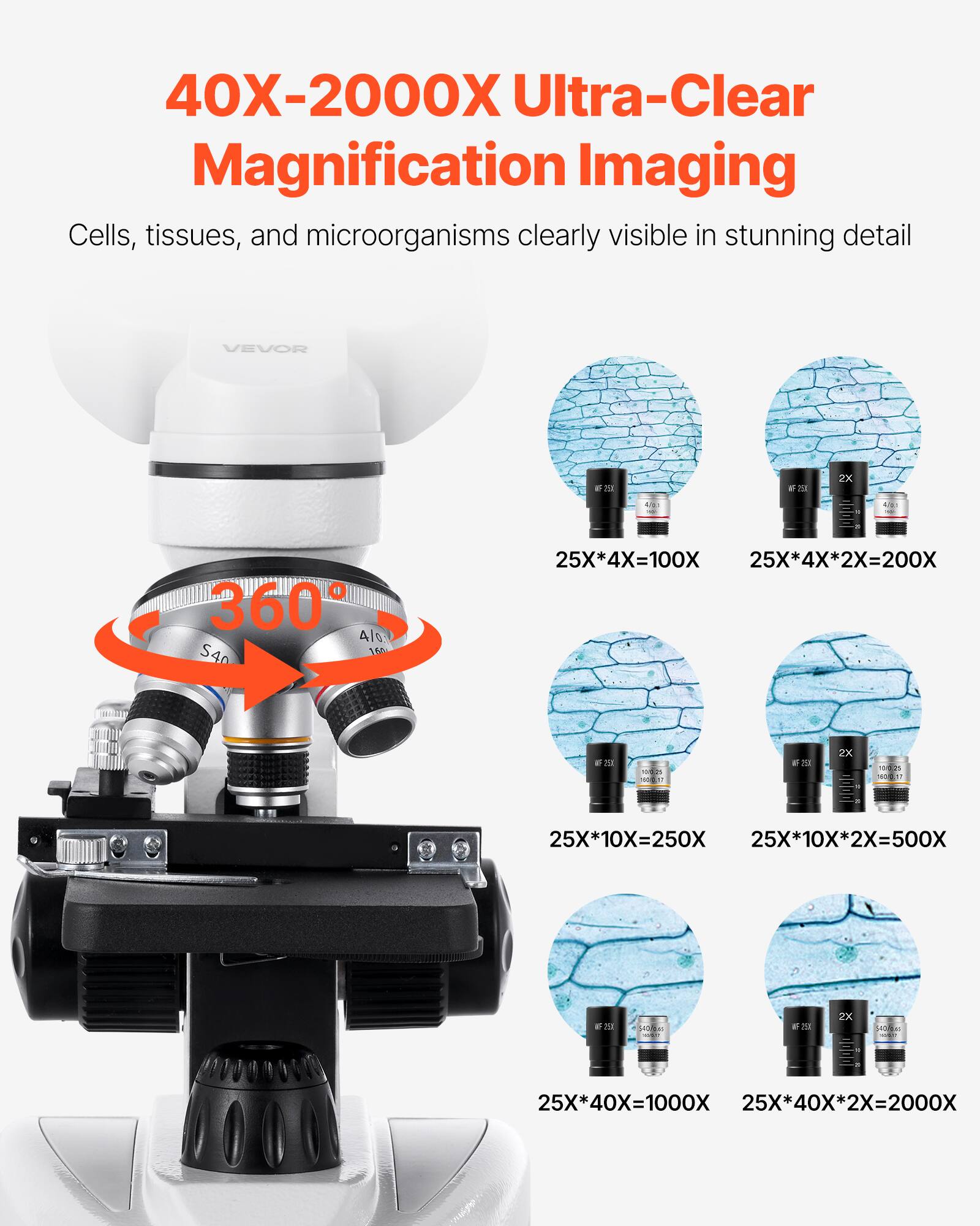 40X-2000X Ultra-Clear Magnification Imaging  
Cells, tissues, and microorganisms clearly visible in stunning detail  

25X*4X=100X  
25X*4X*2X=200X  
25X*10X=250X  
25X*10X*2X=500X  
25X*40X=1000X  
25X*40X*2X=2000X