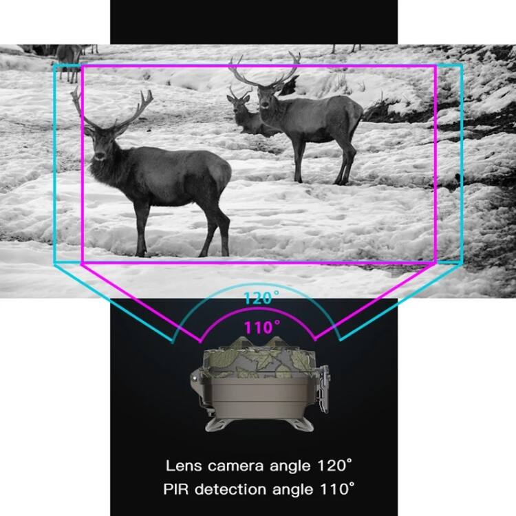 120° Lens camera angle  
110° PIR detection angle