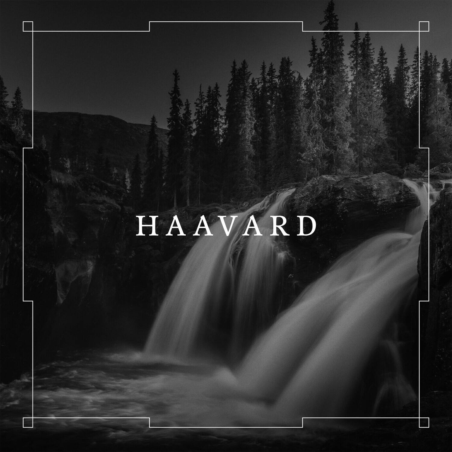 Front. Haavard - Haavard   - COMPACT DISCS.