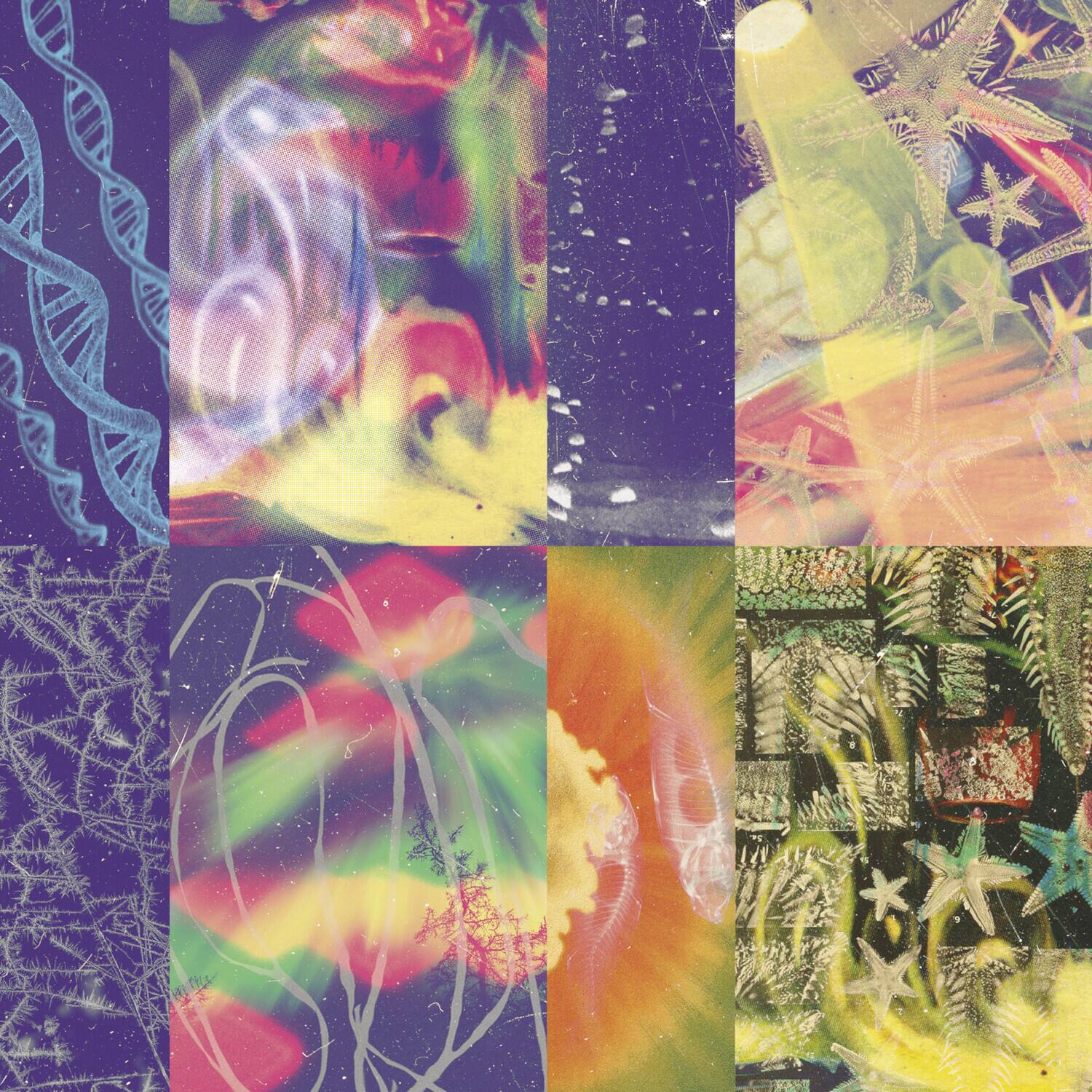 Front. Nap Eyes - The Neon Gate   - VINYL LP .