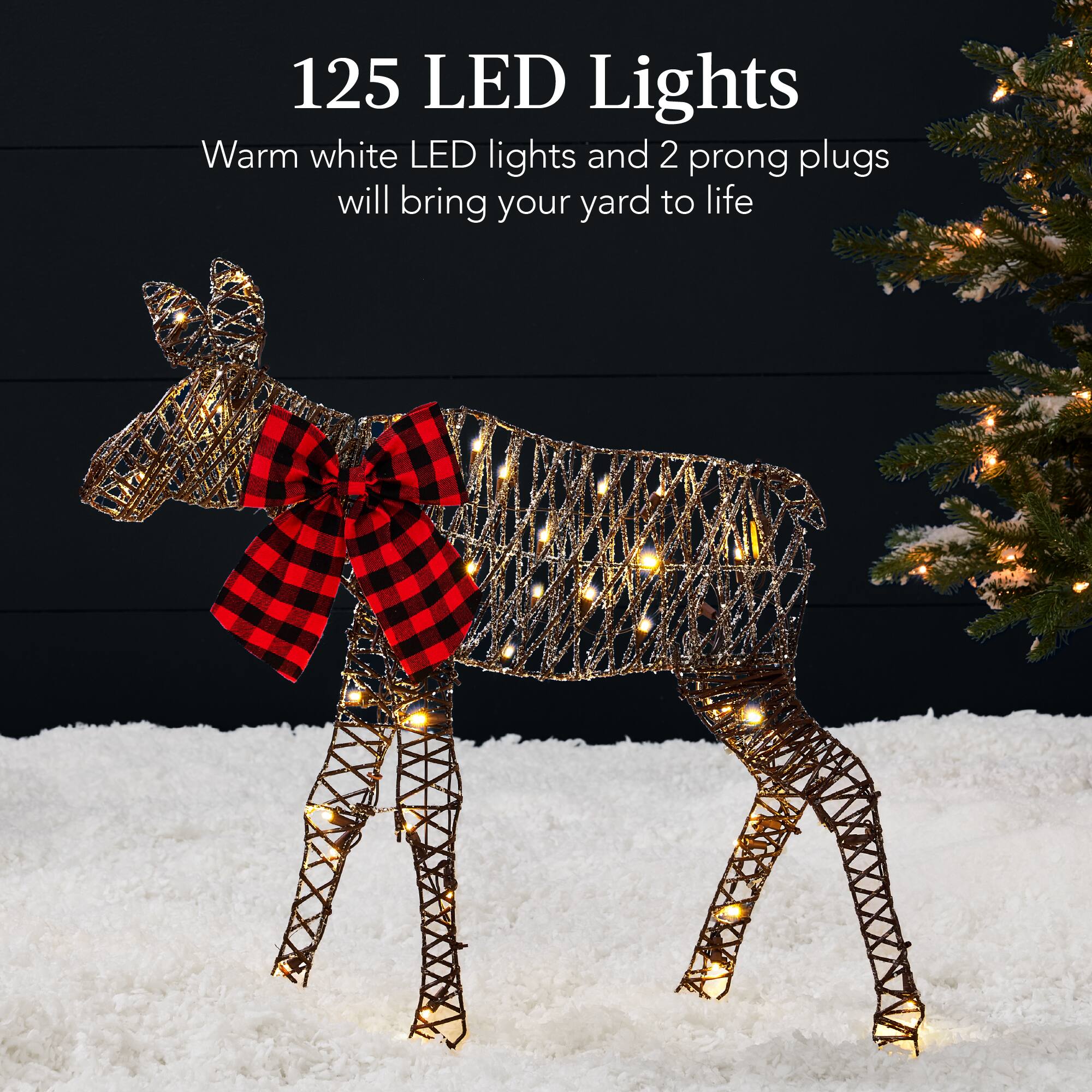 125 LED Lights

Warm white LED lights and 2 prong plugs will bring your yard to life