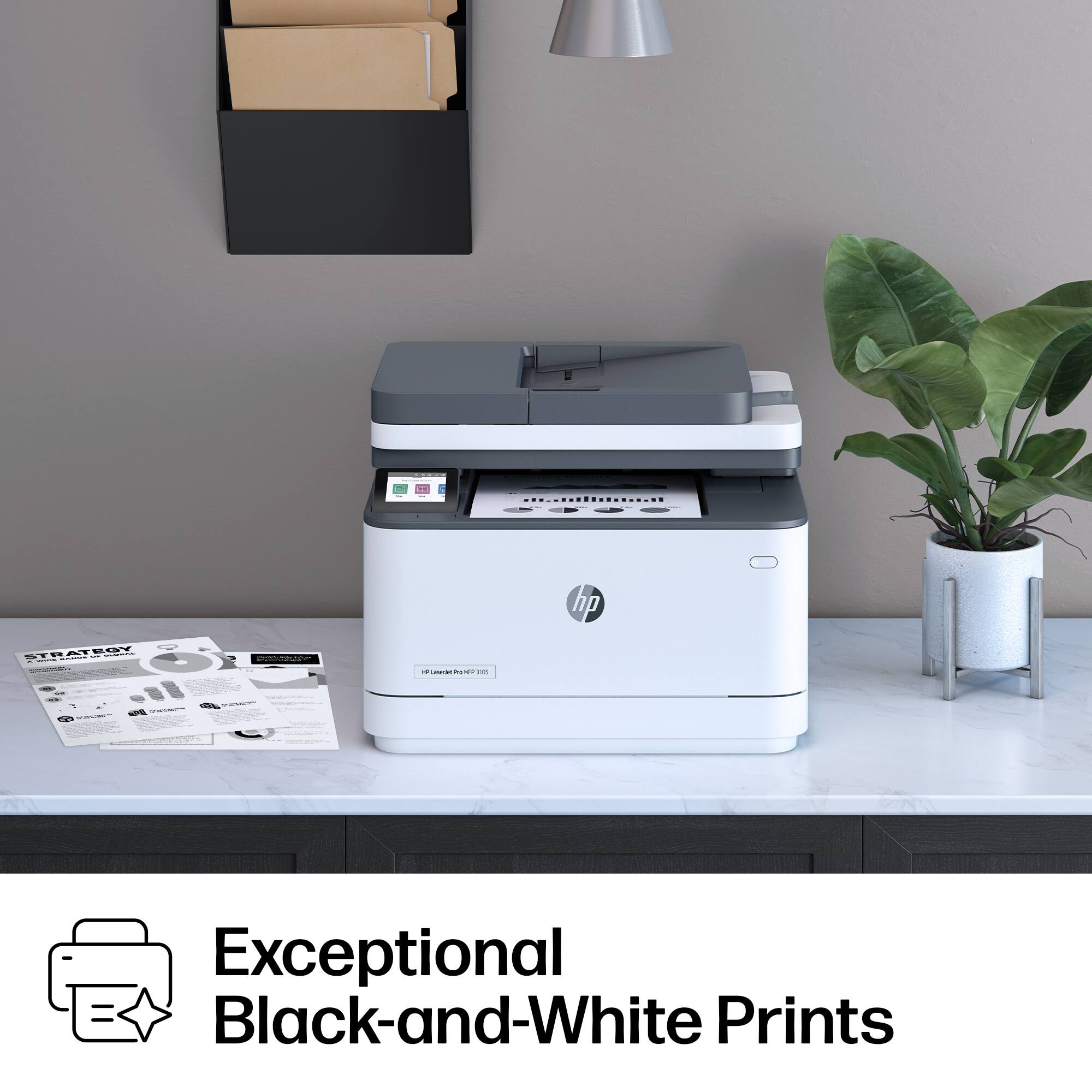 Exceptional Black-and-White Prints