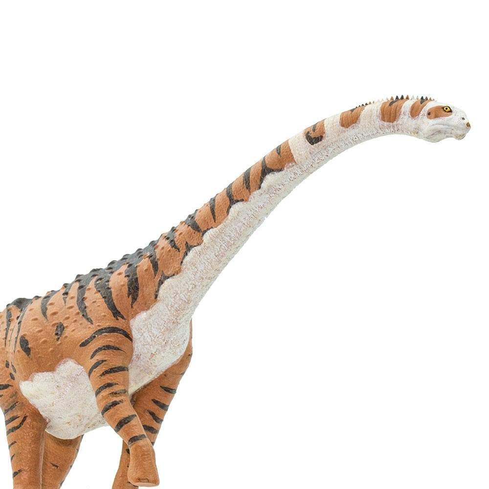Alt View 3. Safari Ltd. - Malawisaurus Toy Figurine.