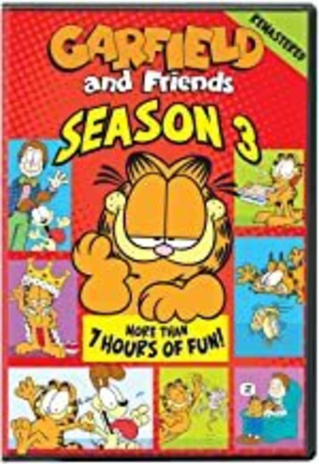 Garfield: Garfield And Friends, Season 3  - DVD