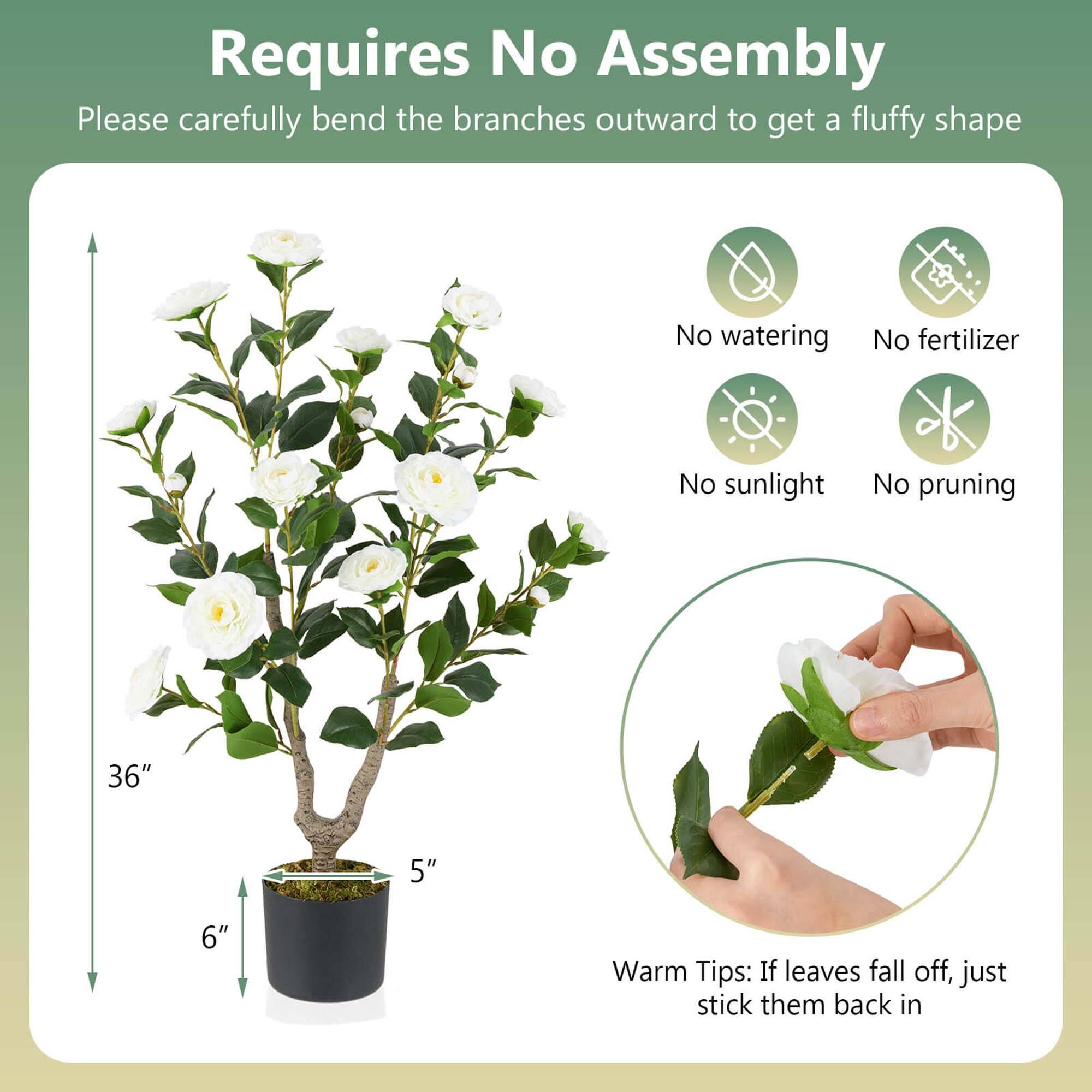 Requires No Assembly

Please carefully bend the branches outward to get a fluffy shape.

No watering
No fertilizer
No sunlight
No pruning

36" 5" 6"

Warm Tips: If leaves fall off, just stick them back in.