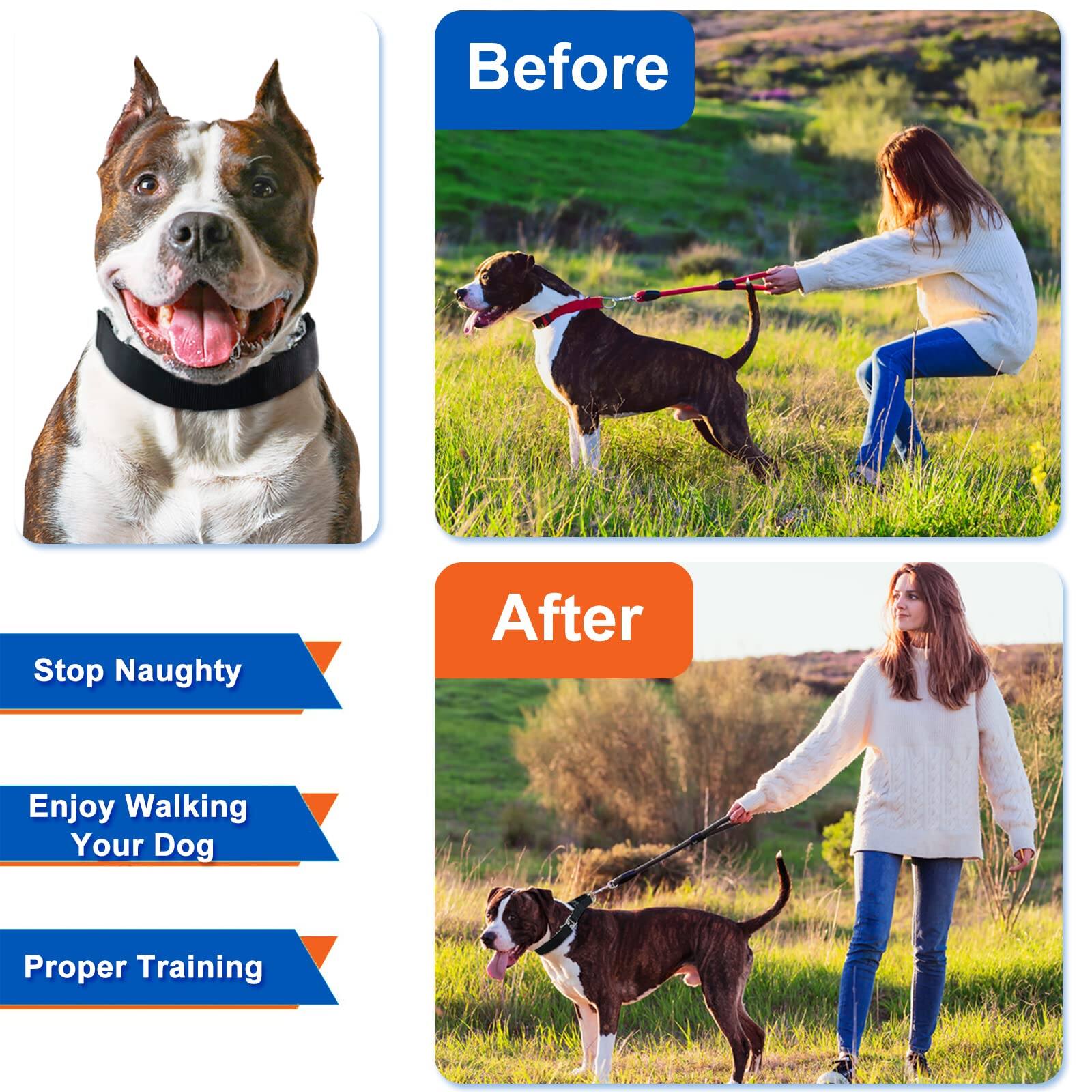 Before

Stop Naughty

Enjoy Walking Your Dog

Proper Training

After
