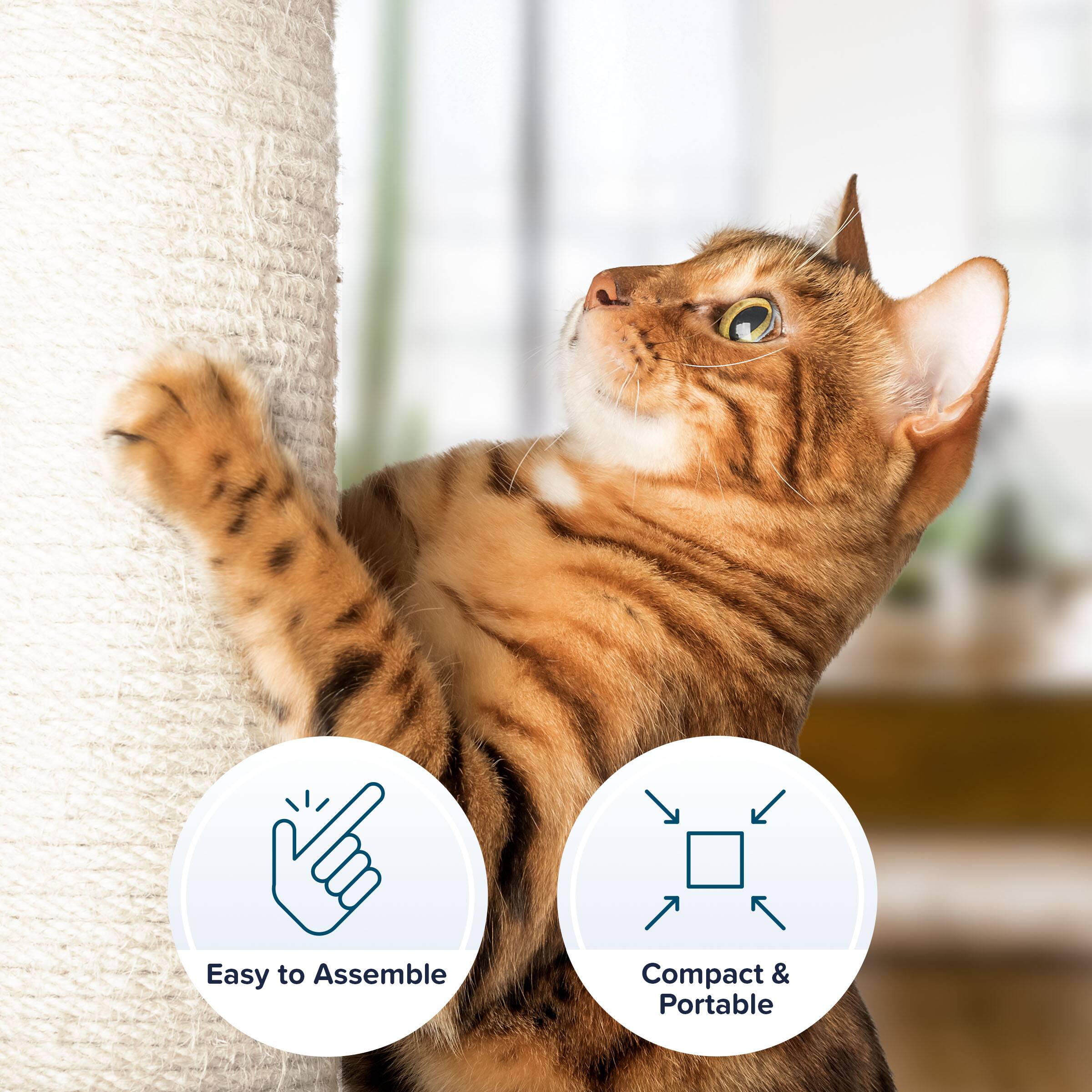 Easy to Assemble  
Compact & Portable