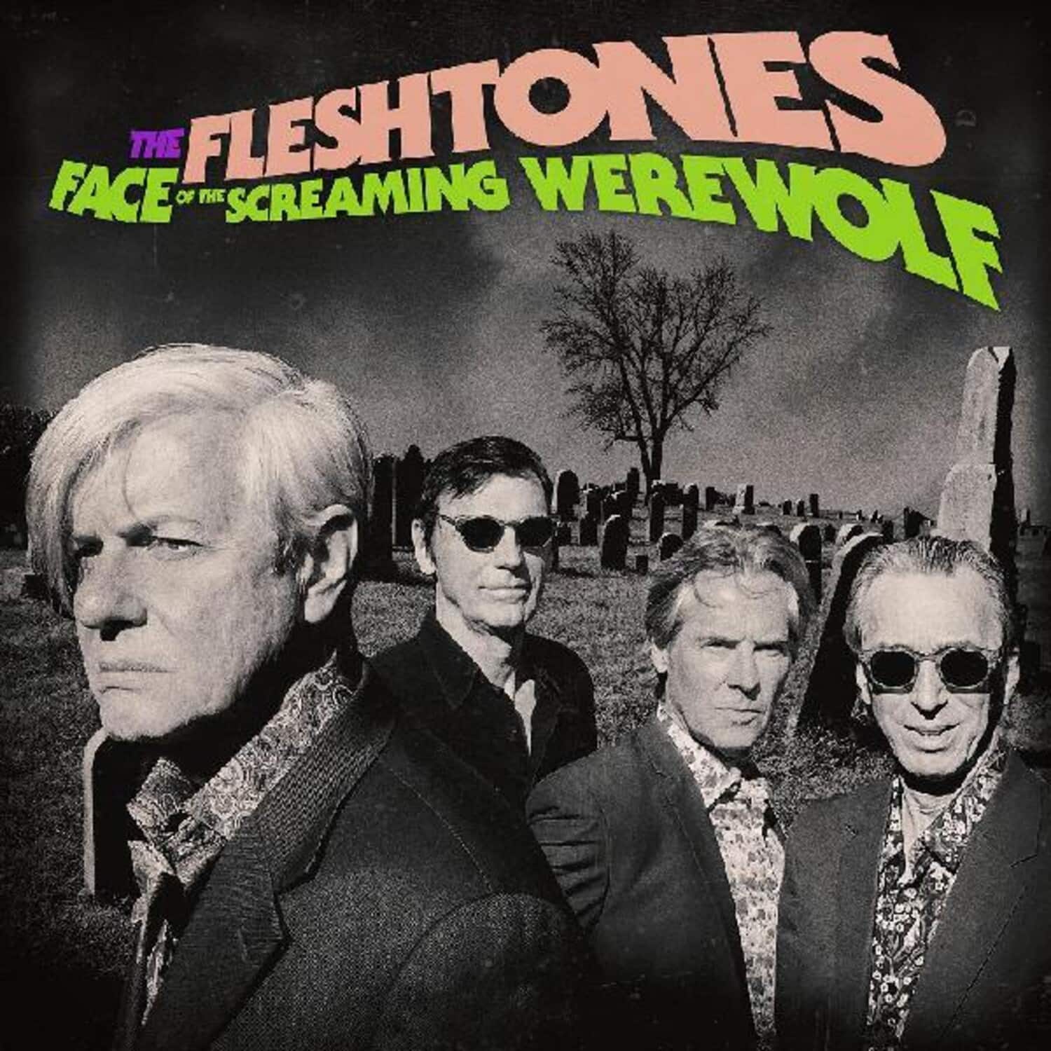 The Fleshtones - Face Of The Screaming Werewolf   - VINYL LP price history on PriceWatchPro