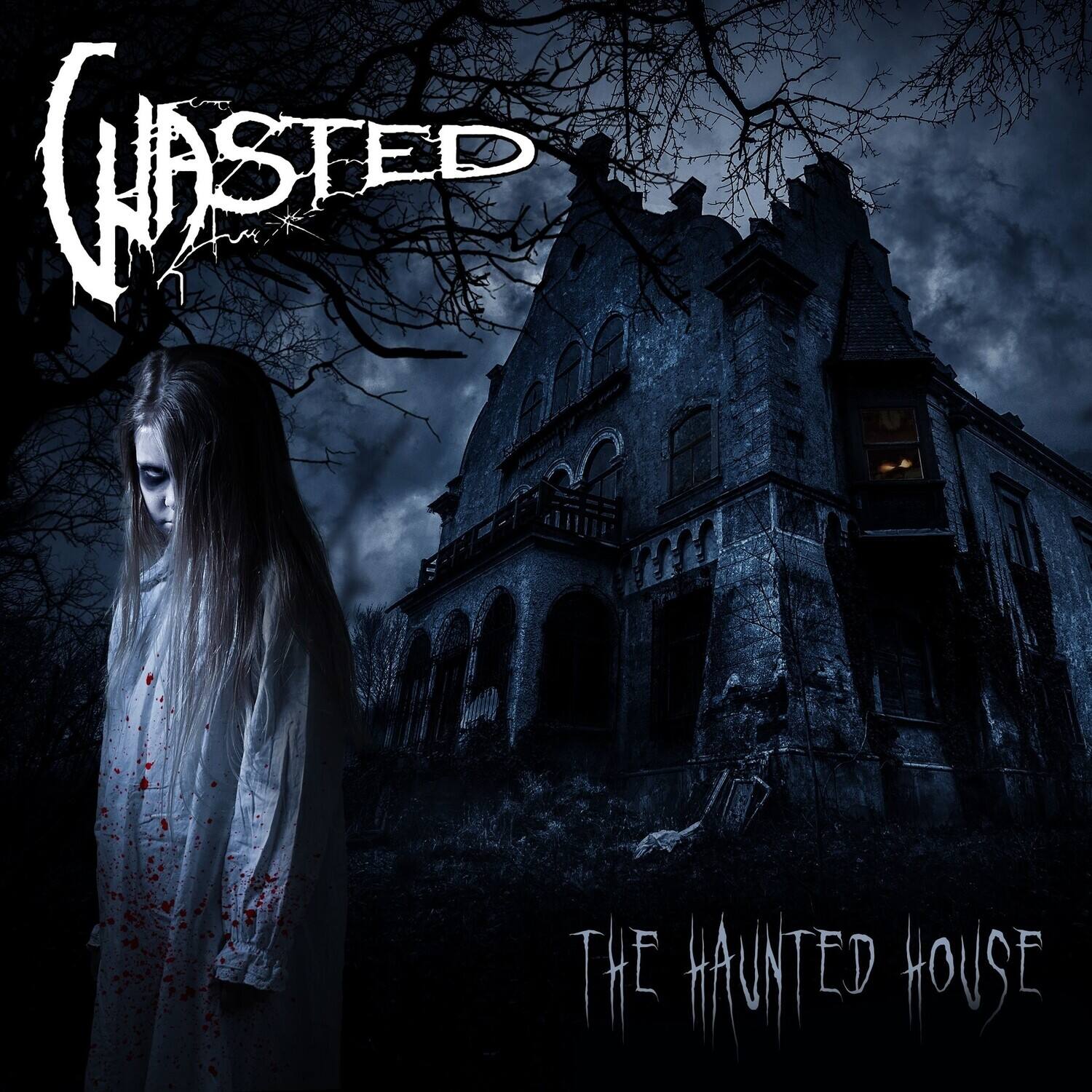 Wasted - Haunted House   - COMPACT DISCS [CD] price history on PriceWatchPro