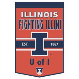 WinCraft - Illinois Fighting Illini 24" x 38" Primary Logo Banner - Multicolor