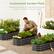 Customized Garden Plots
Multiple beds help you cultivate and arrange a variety of plants to suit your needs