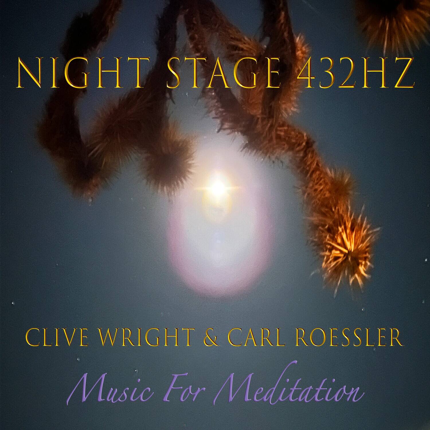 Clive Wright - Nightstage 432 Hz   - COMPACT DISCS [CD] price history on PriceWatchPro