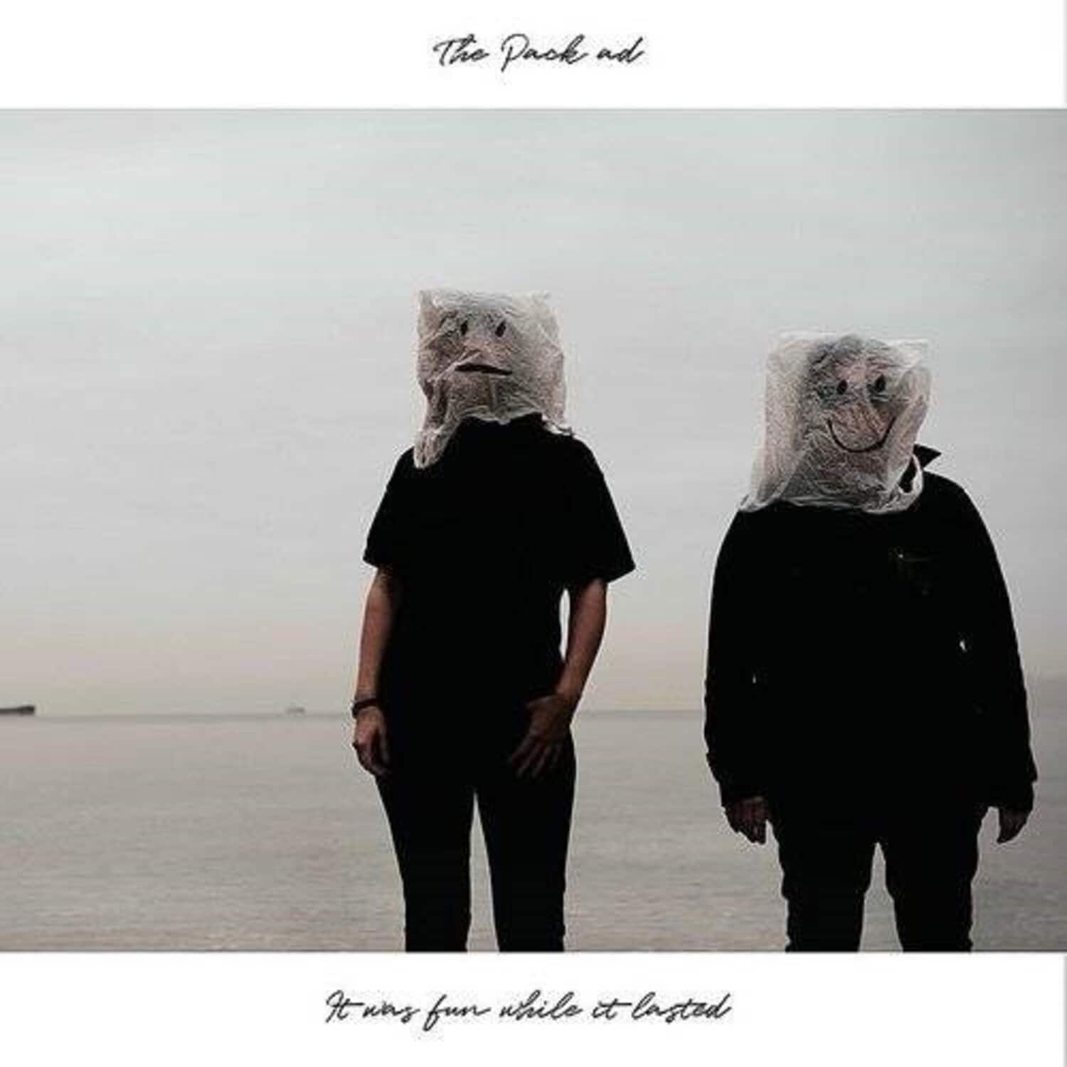The Pack A.D. - It Was Fun While It Lasted   - VINYL LP price history on PriceWatchPro