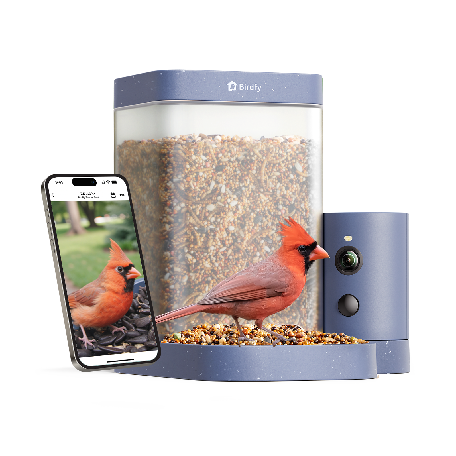 Birdfy 4S
IMY stat - ...