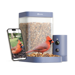 BIRDFY - Smart Bird Feeder Rookie, 1080P HD, 60FPS High-Frame Video for Slow-Motion, 7-Day Free AI Trial, Night Vision - Blue