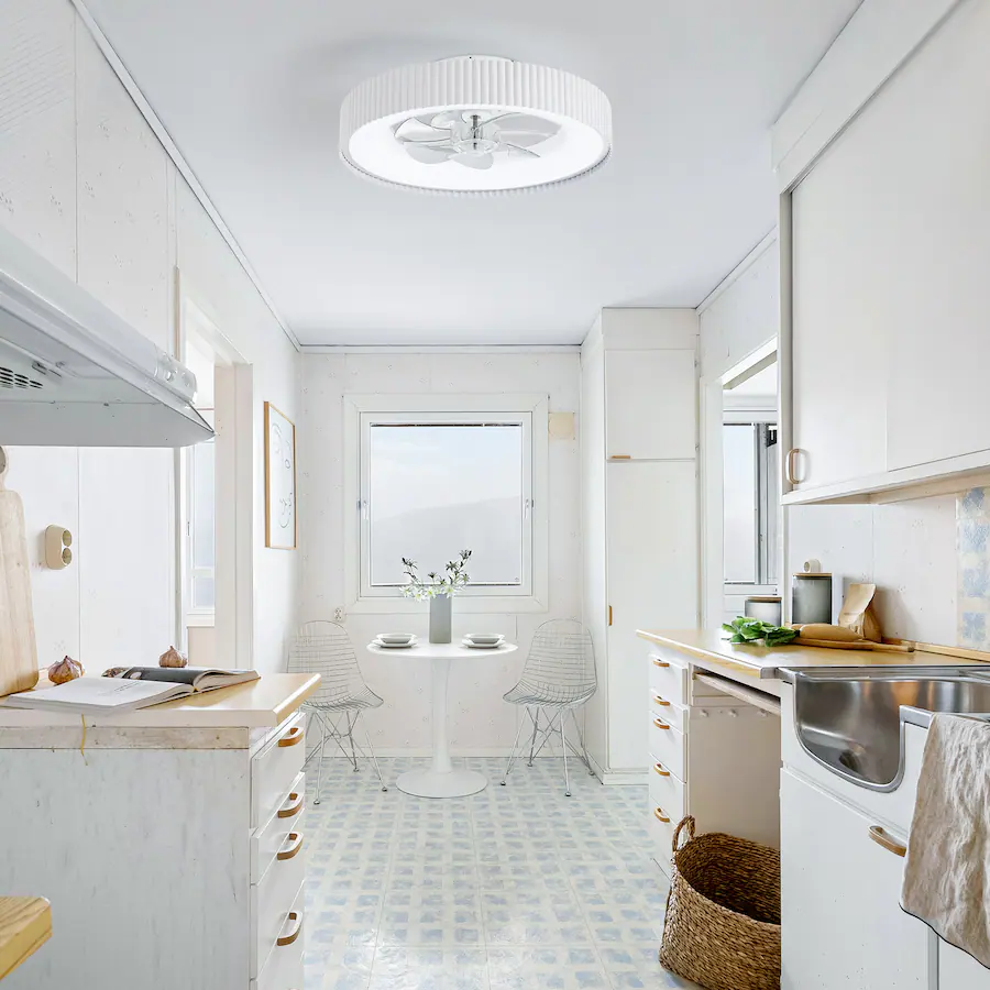 Breezary 19 Inch Caged Ceiling Fan with 7 PC Blades, 3 Color Light, DC ...