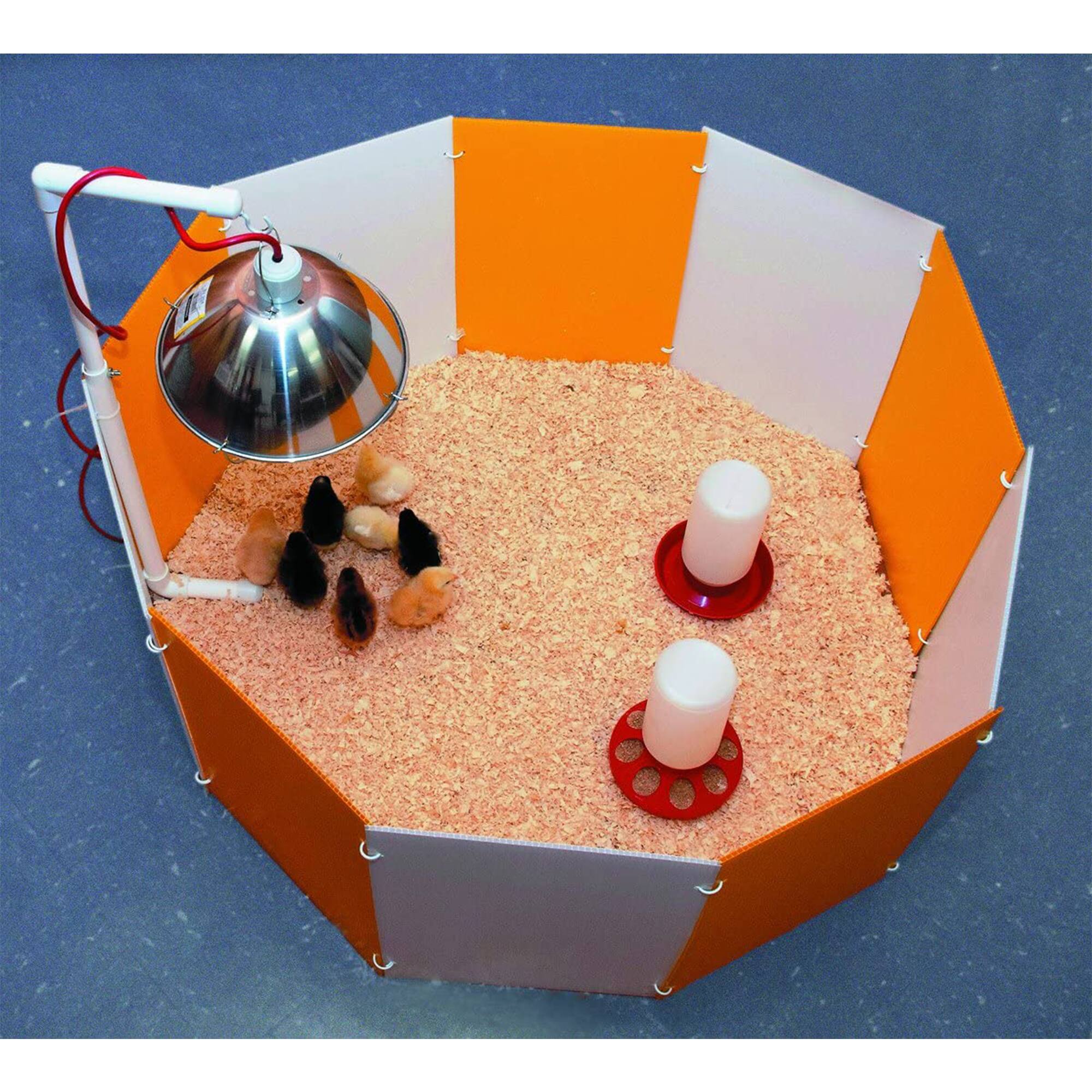 Alt View 10. Farm Innovators - Farm Innovators Baby Chick Starter Home Kit with Adjustable Lamp Hanger (2 Pack).