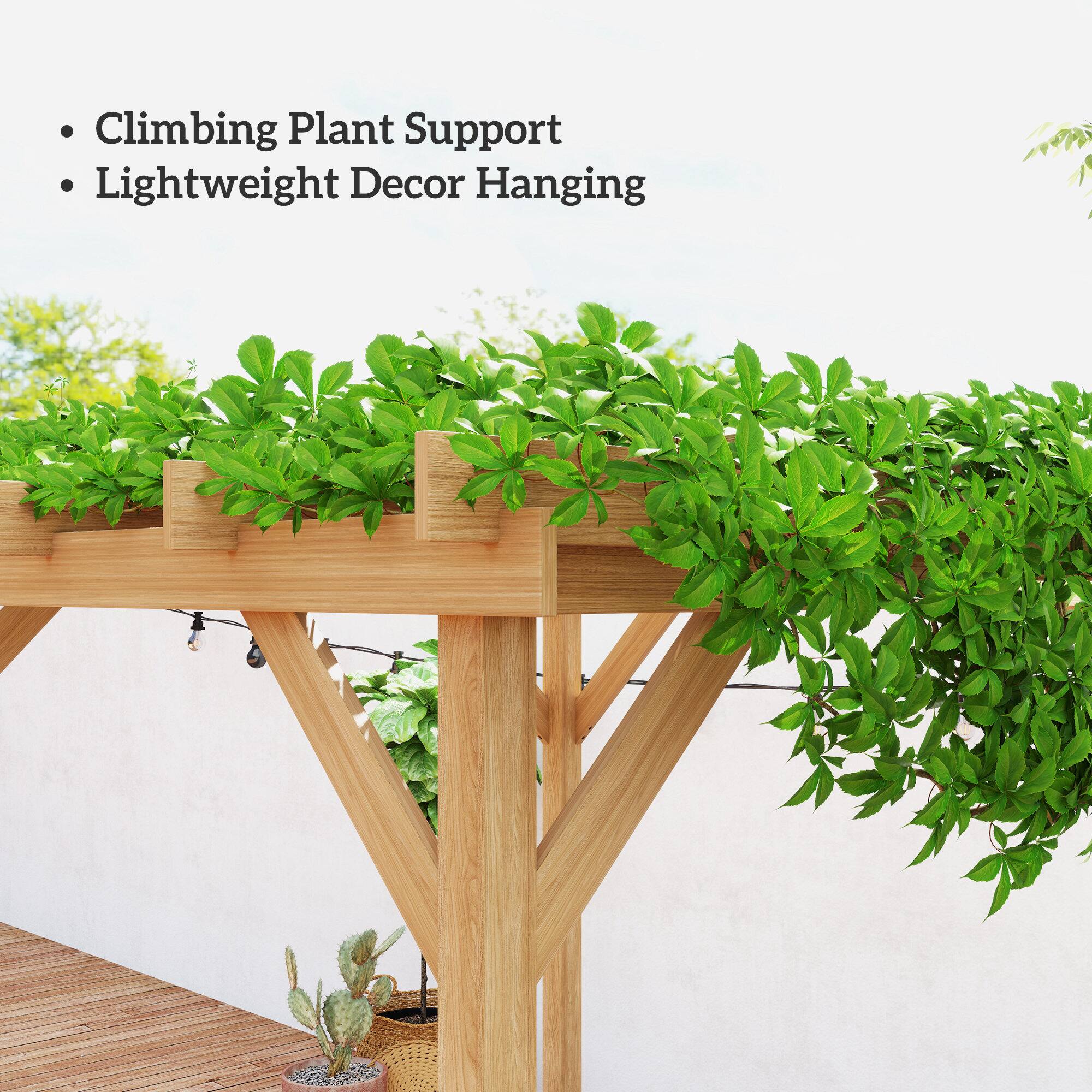 - Climbing Plant Support
- Lightweight Decor Hanging