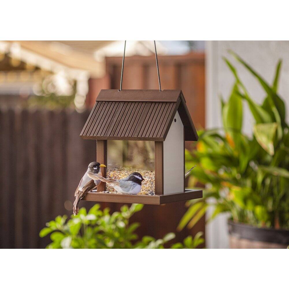 Angle. New Age Pet - ECOFLEX Feathered Friends Beak Bistro Bird Feeder - RHBAF41-09.