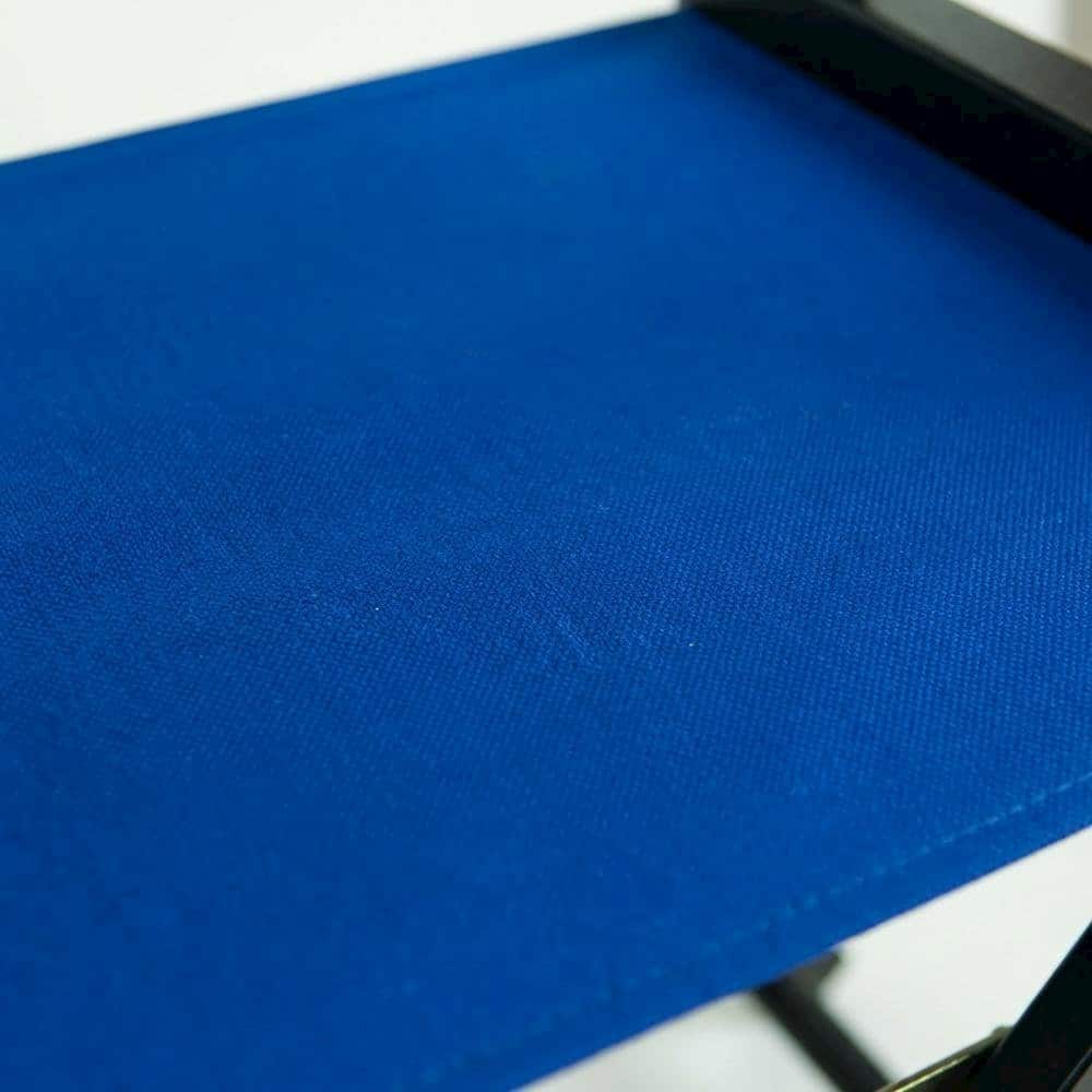 Alt View 2. FurniFact - Blue Director's Chair - Black Frame/Royal Blue Canvas.