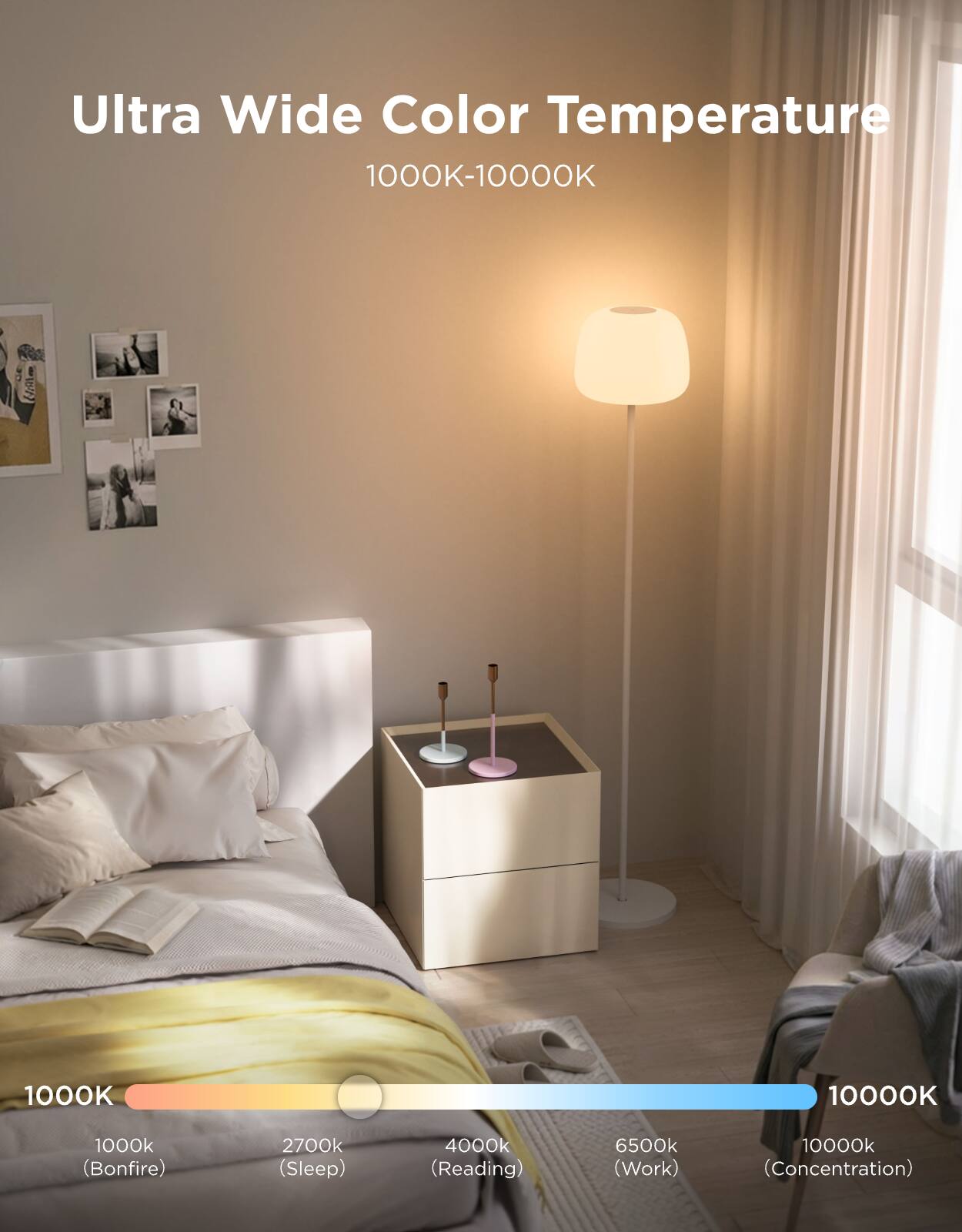 Ultra Wide Color Temperature  
1000K-10000K  

1000K (Bonfire)  
2700K (Sleep)  
4000K (Reading)  
6500K (Work)  
10000K (Concentration)