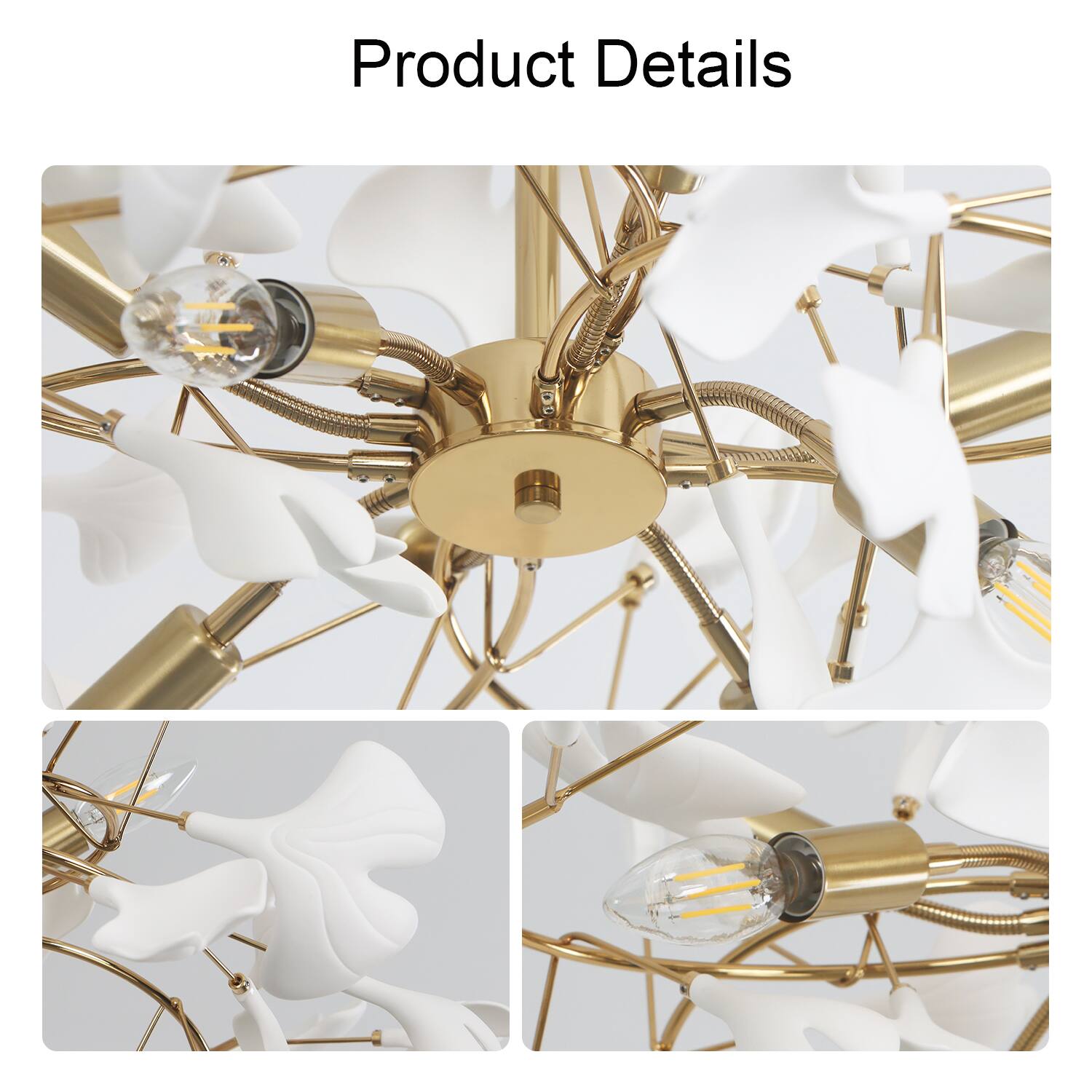 Product Details
