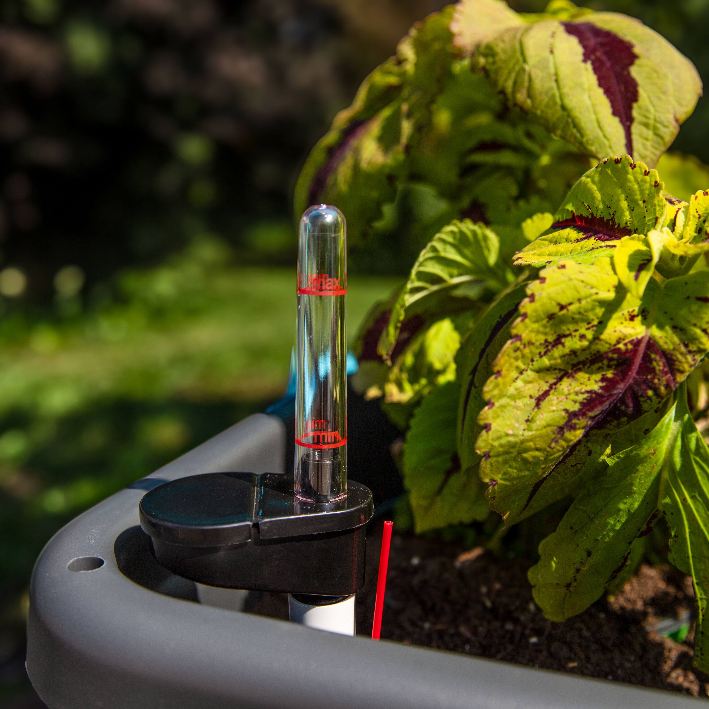 The text on the image reads:

"Limit Tex
Limit Tex"