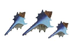 Mayrich Company - Set of 3 Blue Metal Seashell Decorations Wall Hanging Sculpture Beach Home Decor - Multicolored