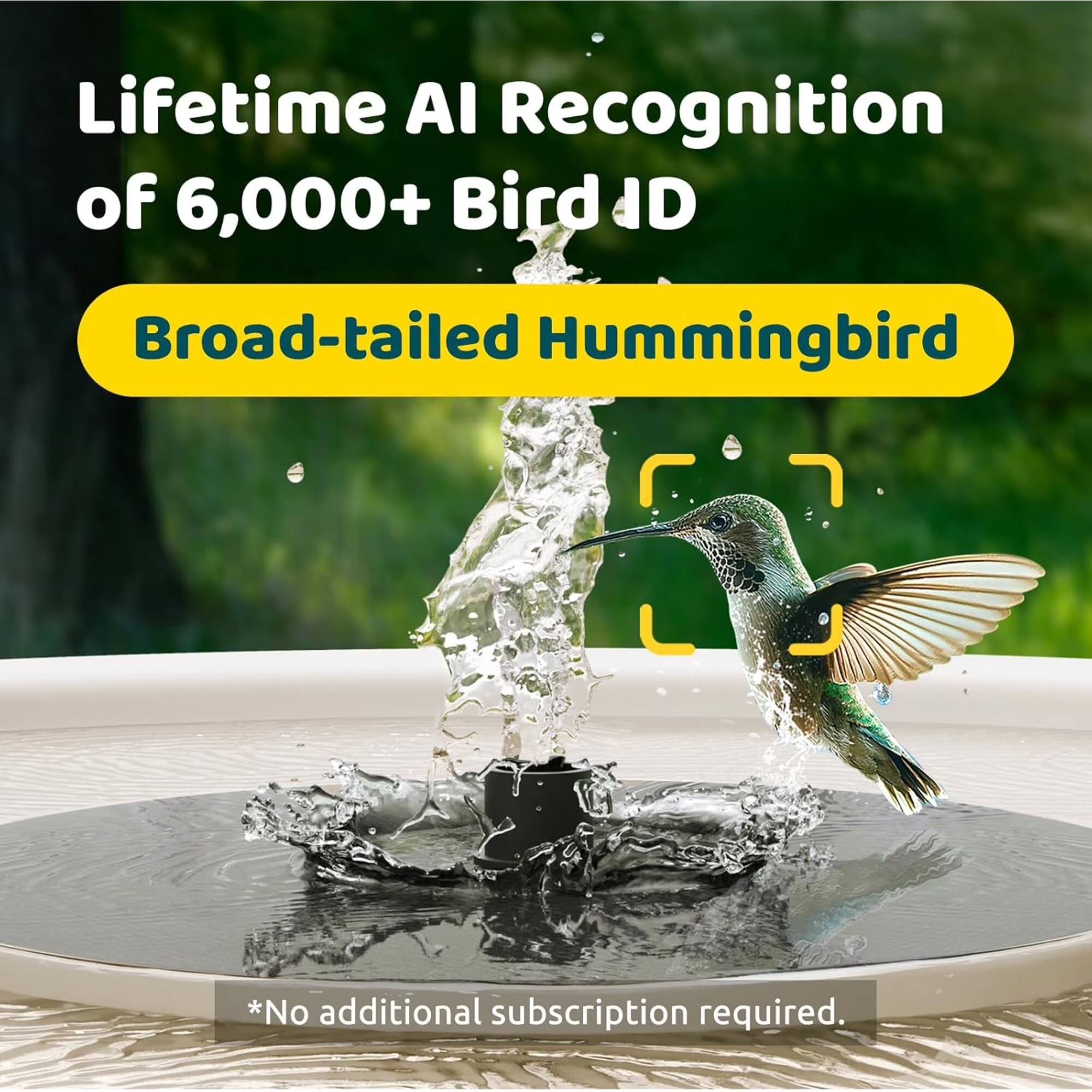 Lifetime AI Recognition of 6,000+ Bird ID  
Broad-tailed Hummingbird  
*No additional subscription required.